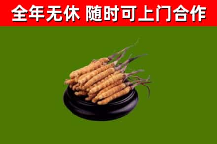 大鹏新区烟酒回收冬虫夏草.jpg